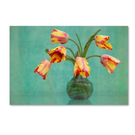 Cora Niele 'Rembrandt Tulips' Canvas Art,22x32